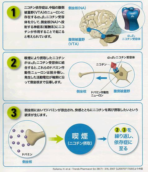 白根医師