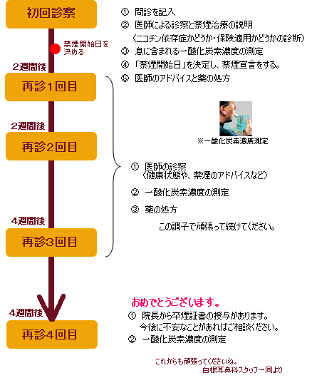 チャンピックスの作用メカニズム